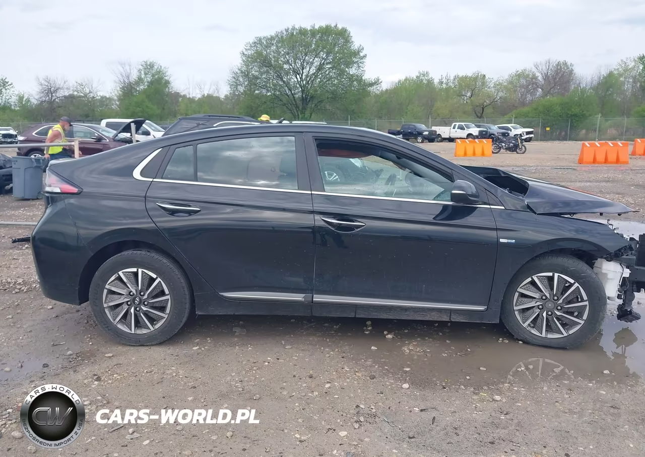 2020 Hyundai Ioniq Electric Limited VIN:KMHC85LJ7LU061376 - 14