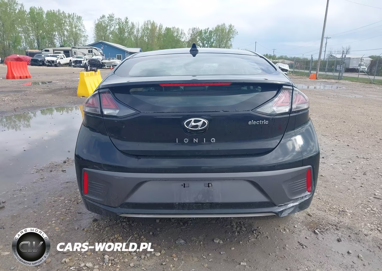2020 Hyundai Ioniq Electric Limited VIN:KMHC85LJ7LU061376 - 17