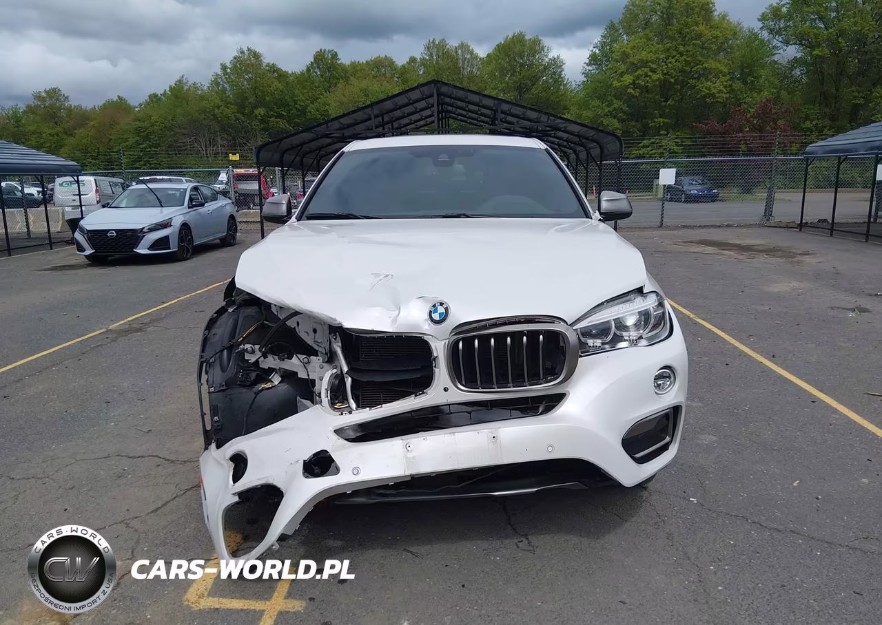 2019 BMW X6 xDrive35I VIN:5UXKU2C55K0Z63803 - 13
