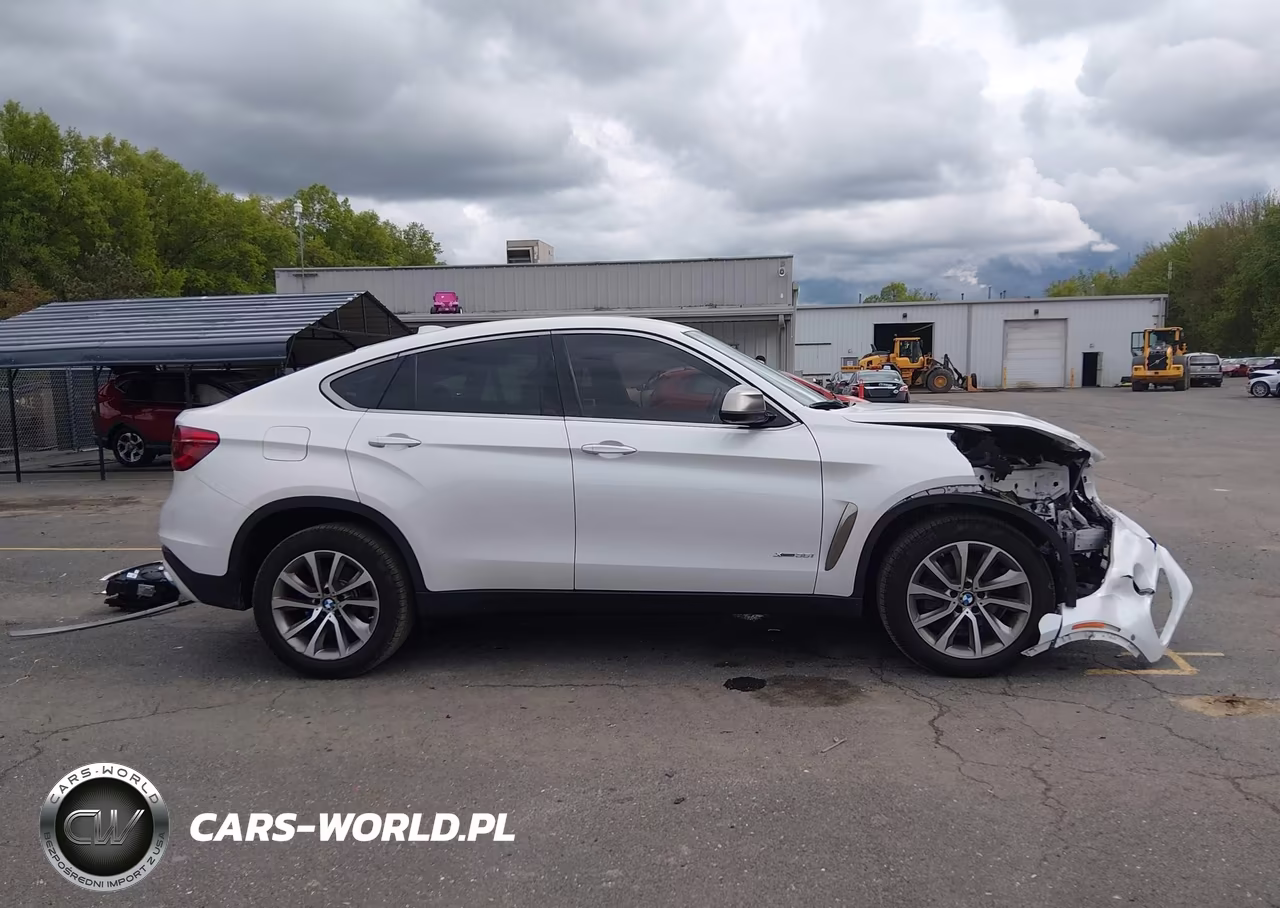 2019 BMW X6 xDrive35I VIN:5UXKU2C55K0Z63803 - 14