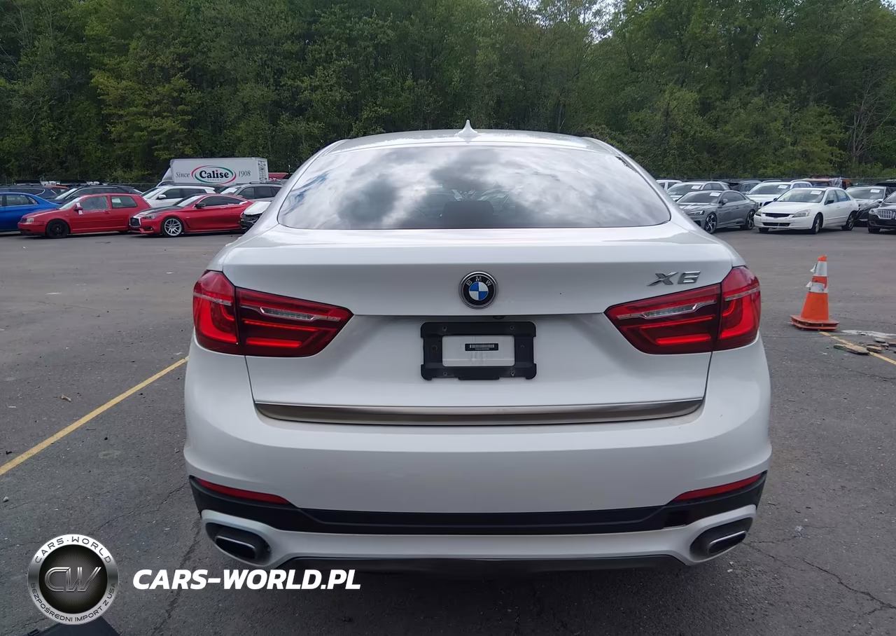 2019 BMW X6 xDrive35I VIN:5UXKU2C55K0Z63803 - 17