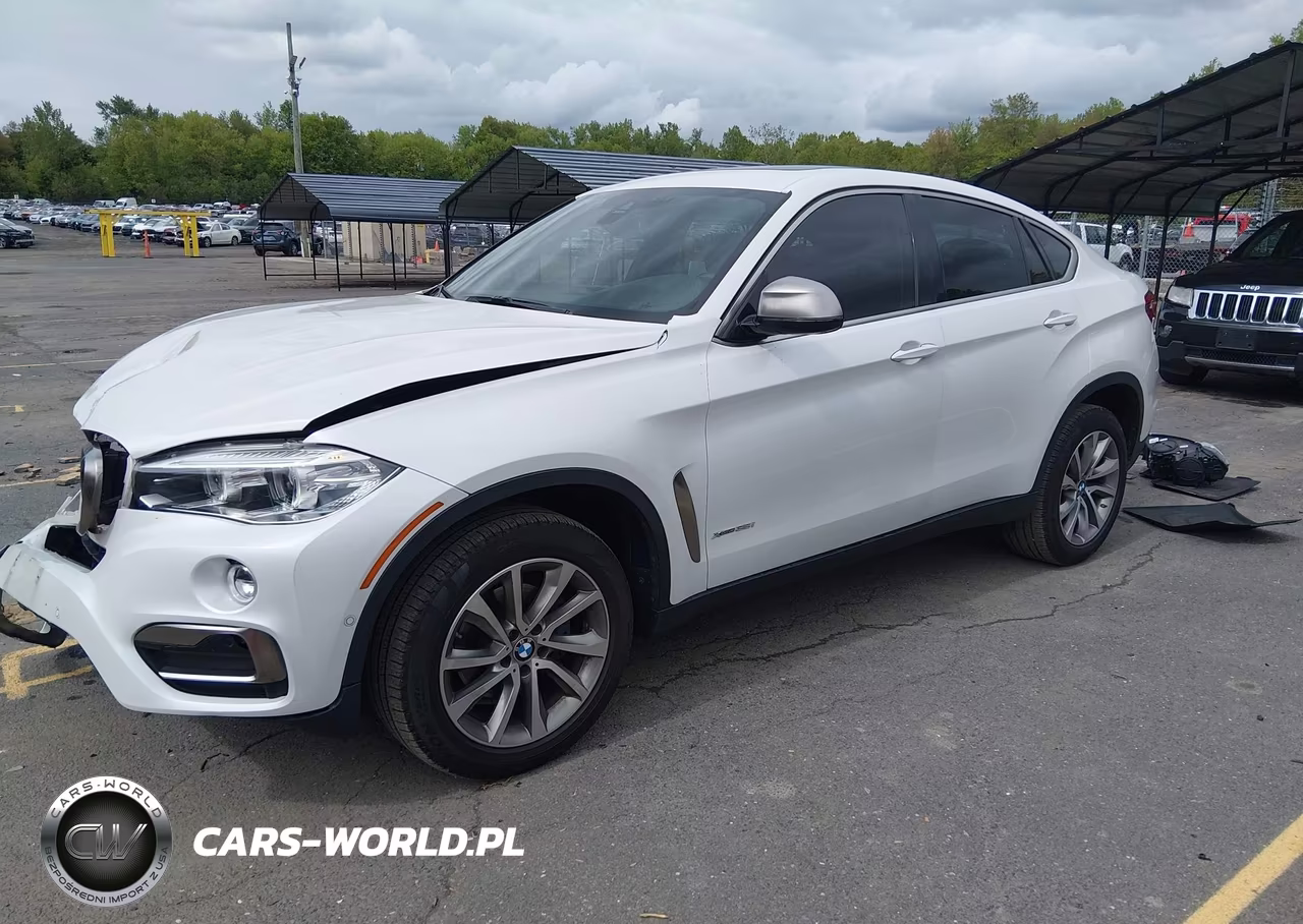 2019 BMW X6 xDrive35I VIN:5UXKU2C55K0Z63803 - 2