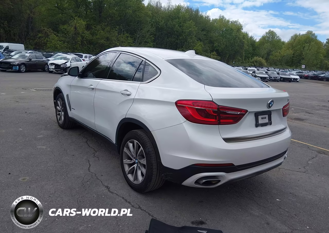 2019 BMW X6 xDrive35I VIN:5UXKU2C55K0Z63803 - 3