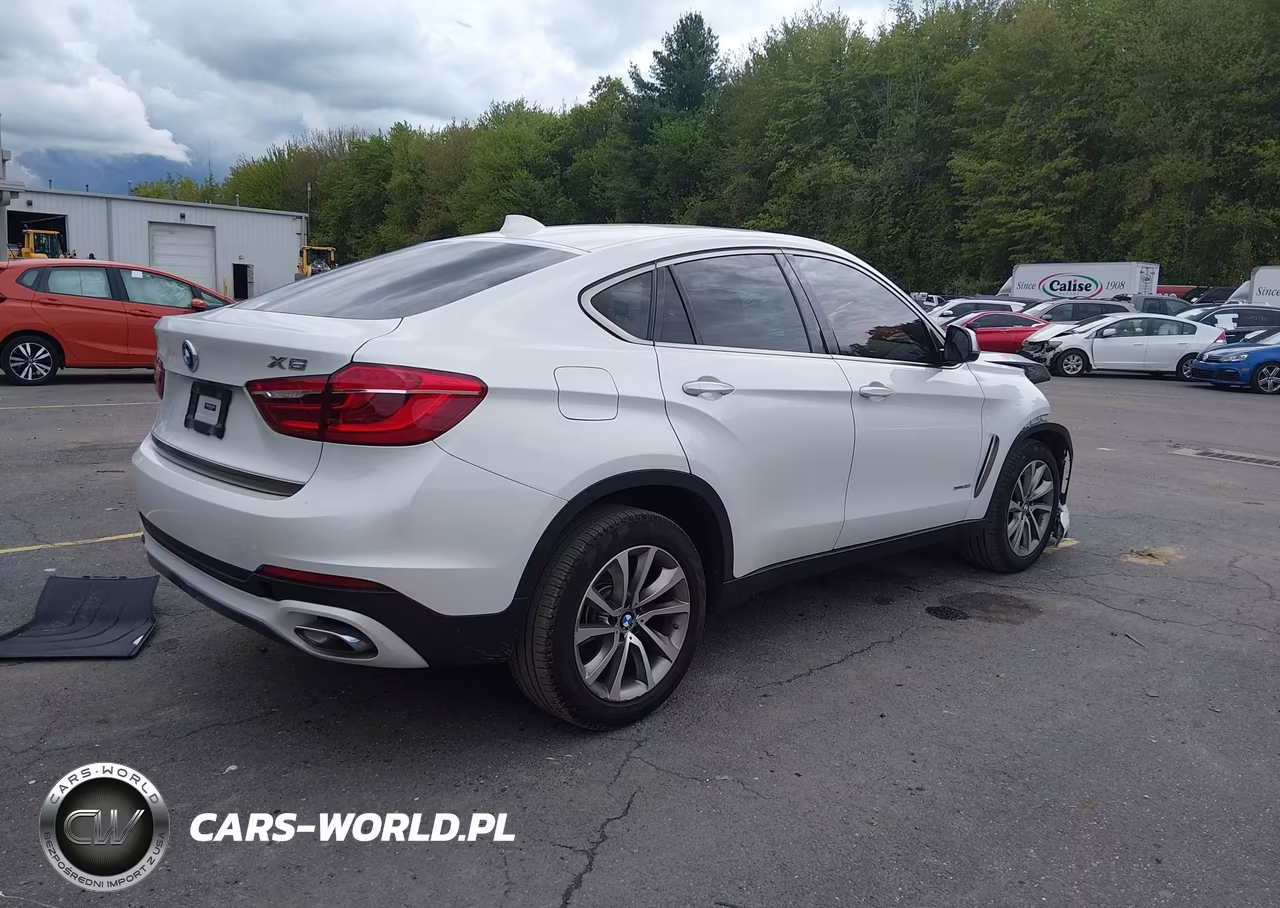 2019 BMW X6 xDrive35I VIN:5UXKU2C55K0Z63803 - 4