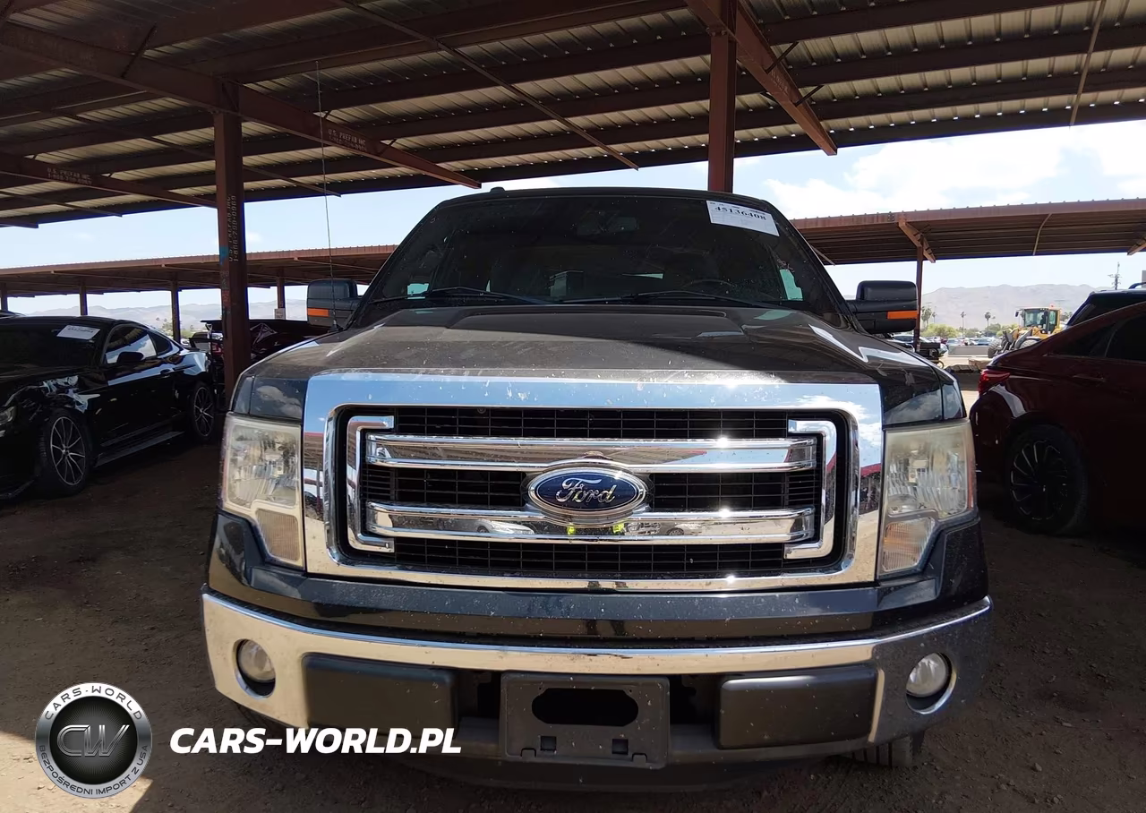 2013 Ford F-150 Xlt VIN:1FTEX1CM8DFD56253 - 12