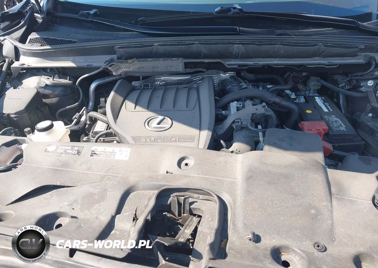 2023 Lexus Rx 350 Premium Plus VIN:2T2BAMCA6PC023151 - 10