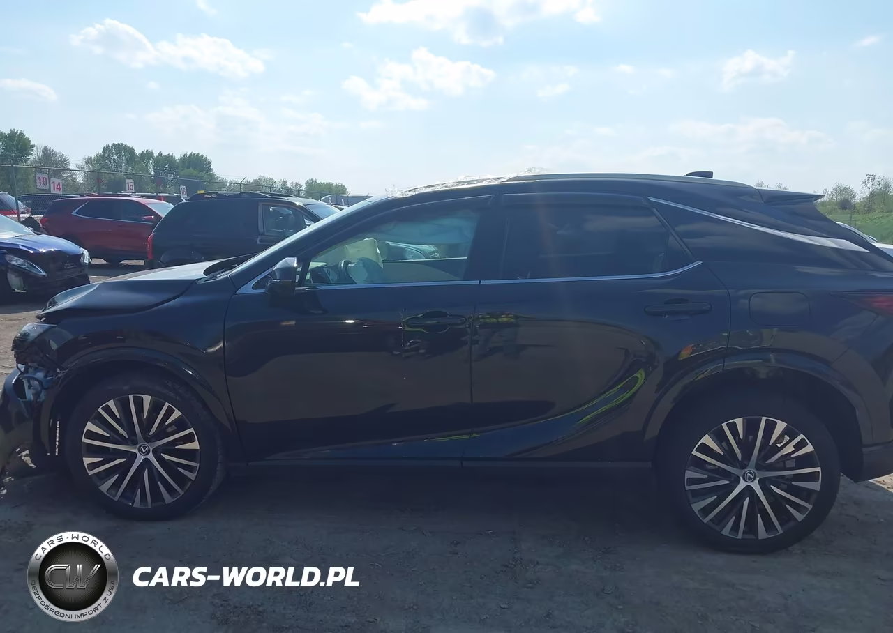 2023 Lexus Rx 350 Premium Plus VIN:2T2BAMCA6PC023151 - 15