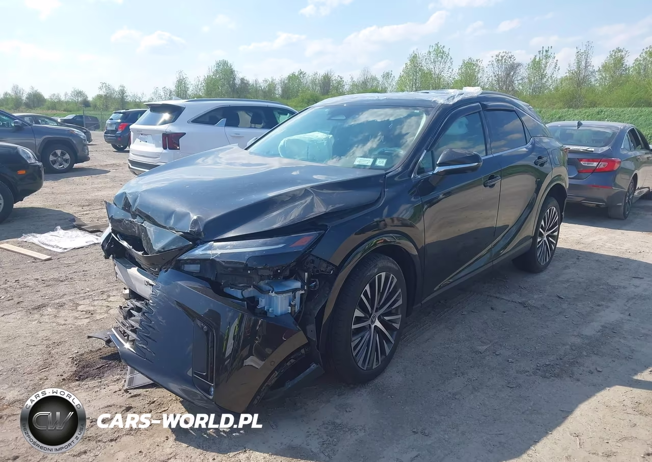 2023 Lexus Rx 350 Premium Plus VIN:2T2BAMCA6PC023151 - 2