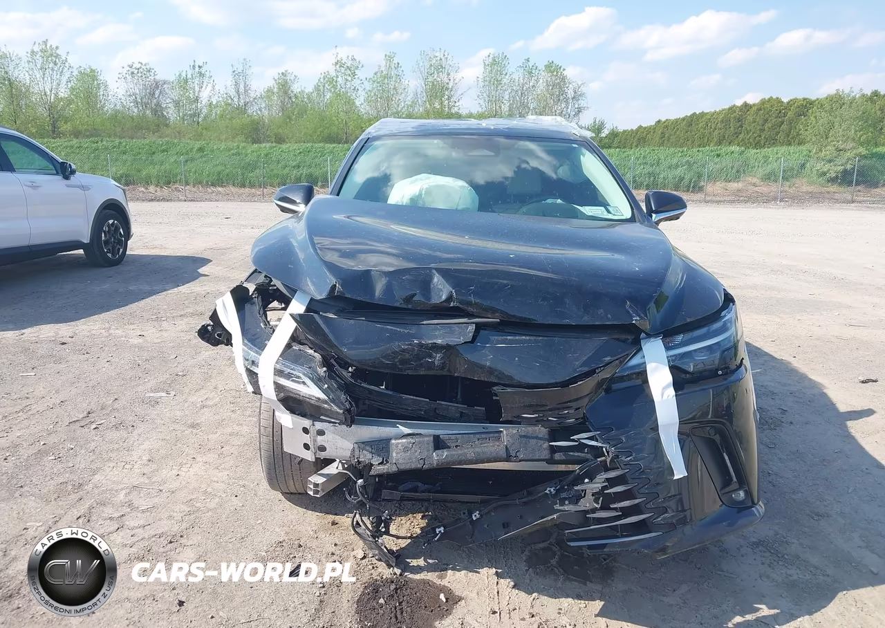 2023 Lexus Rx 350 Premium Plus VIN:2T2BAMCA6PC023151 - 6