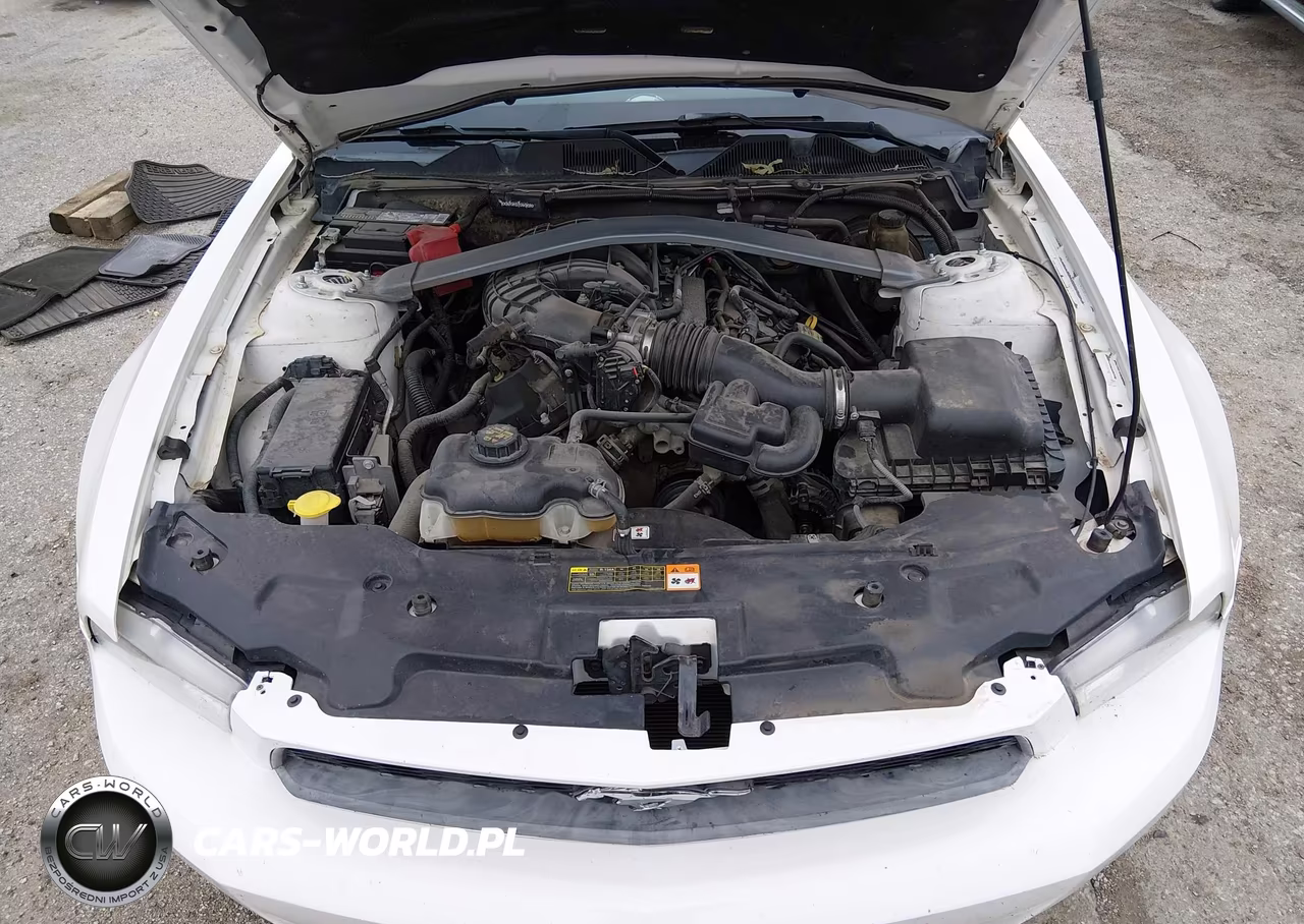 2011 Ford Mustang V6 VIN:1ZVBP8EM8B5138239 - 10