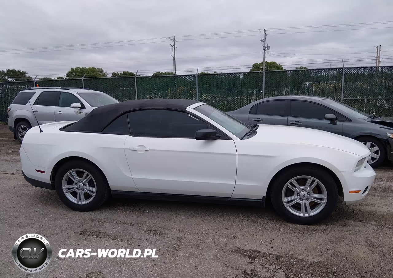 2011 Ford Mustang V6 VIN:1ZVBP8EM8B5138239 - 13