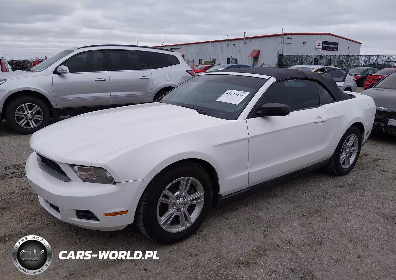2011 Ford Mustang V6 VIN:1ZVBP8EM8B5138239 - 2