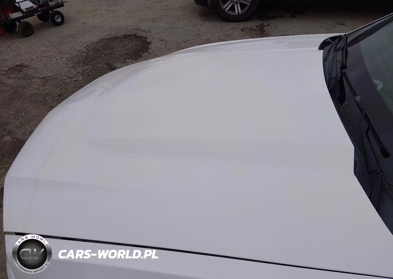 2011 Ford Mustang V6 VIN:1ZVBP8EM8B5138239 - 6