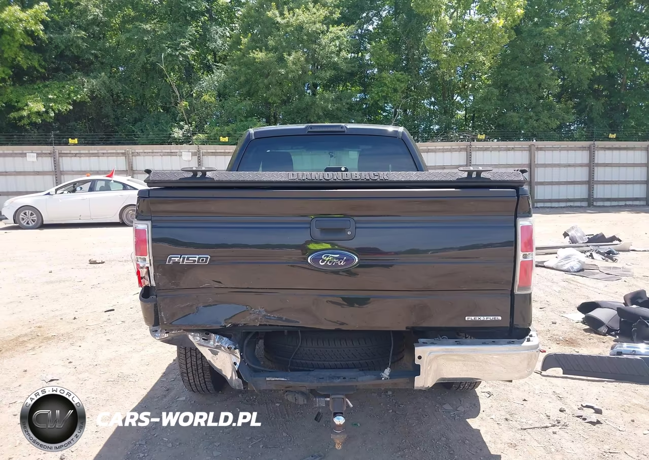 2013 Ford F-150 Xl VIN:1FTMF1CM0DFD30485 - 17