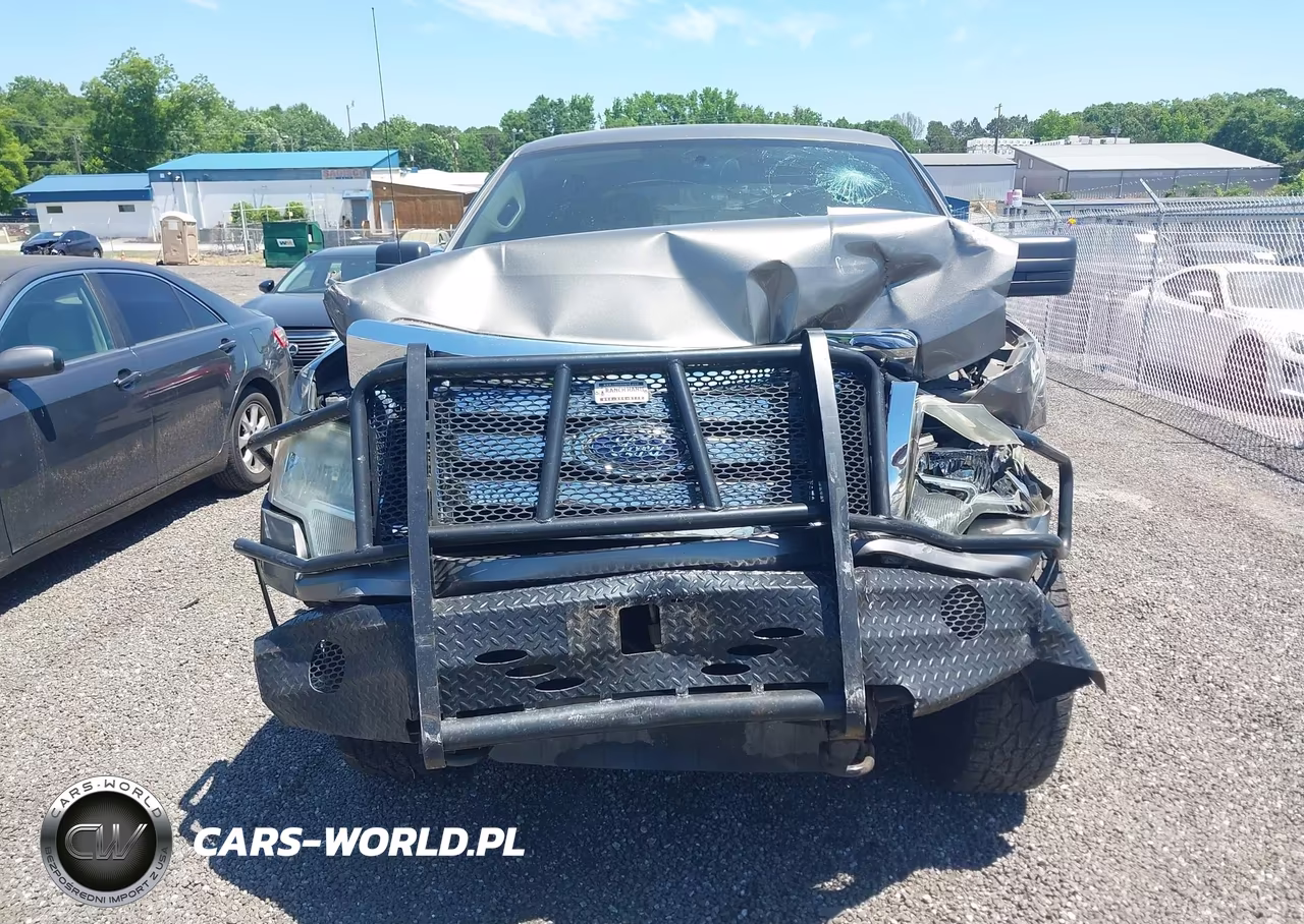 2010 Ford F-150 Xlt VIN:1FTFW1E89AFC57864 - 12