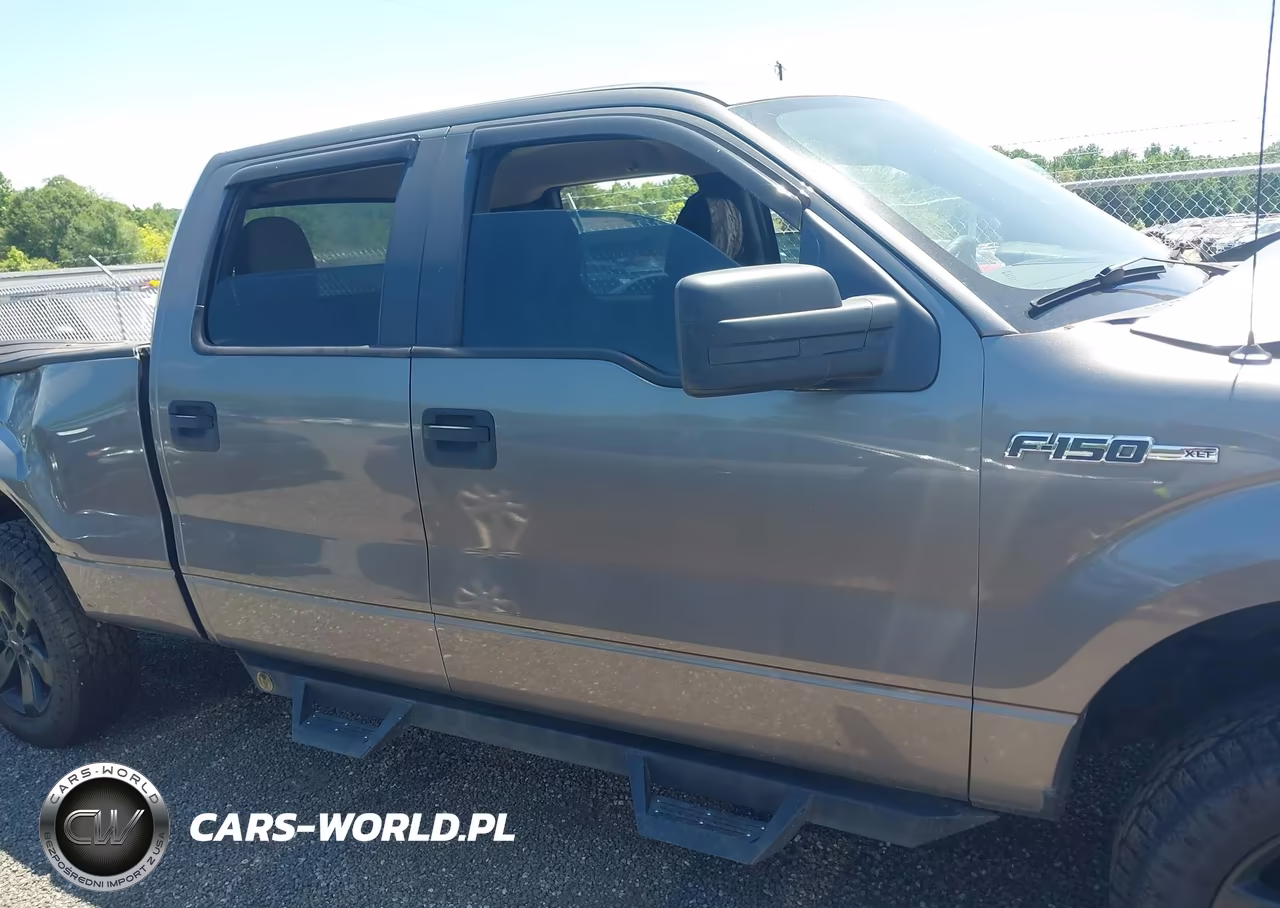 2010 Ford F-150 Xlt VIN:1FTFW1E89AFC57864 - 13