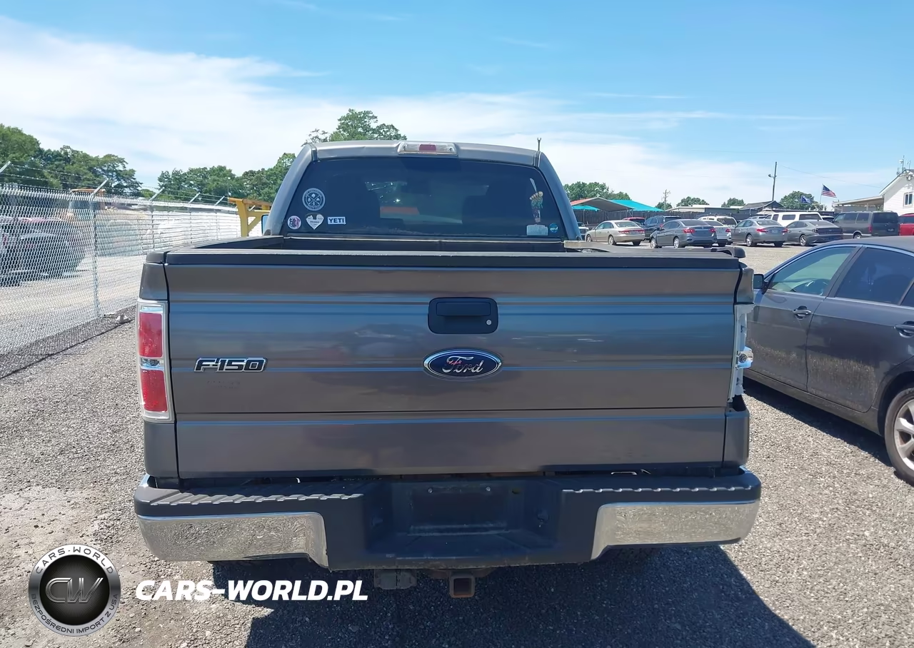2010 Ford F-150 Xlt VIN:1FTFW1E89AFC57864 - 16