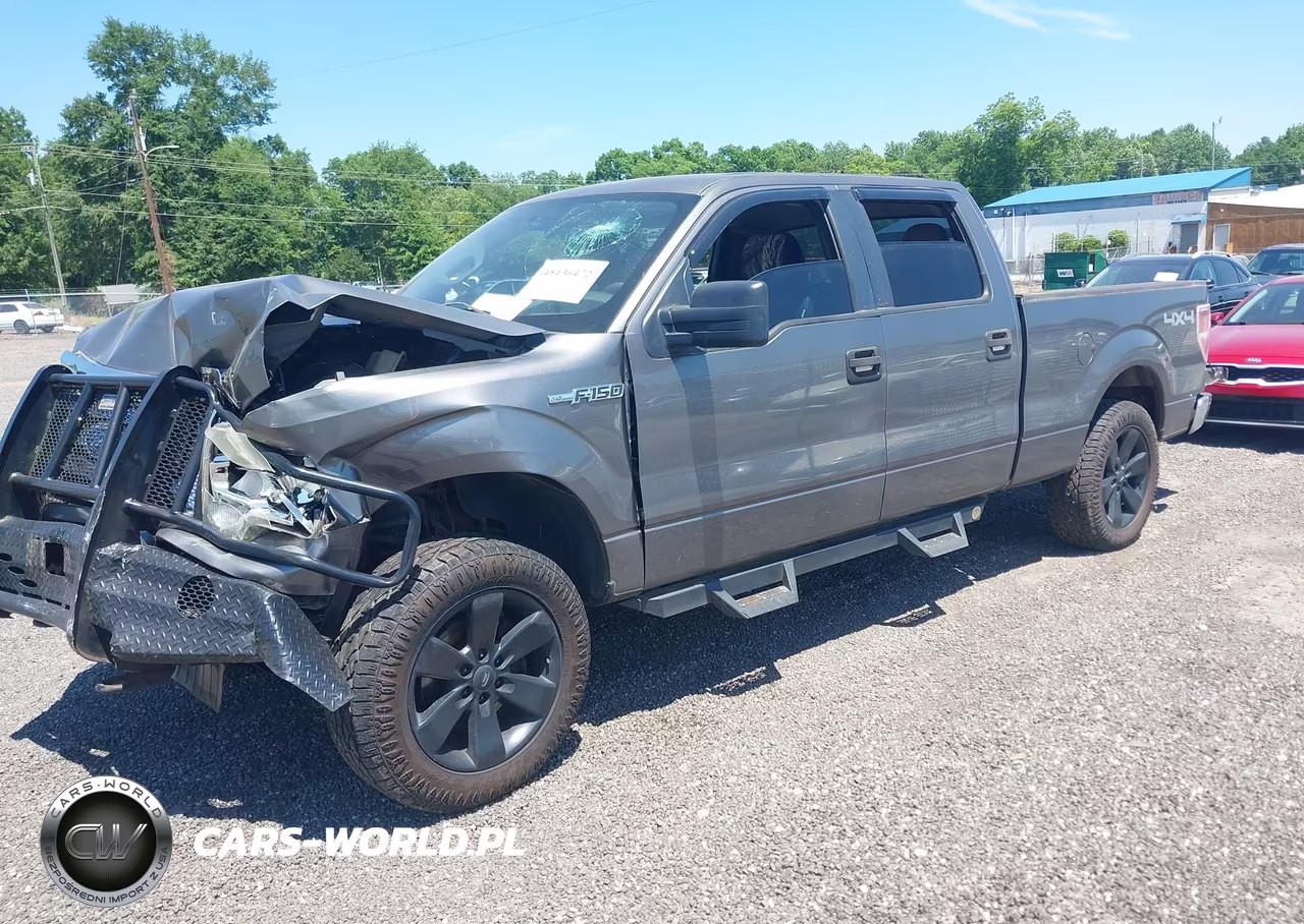 2010 Ford F-150 Xlt VIN:1FTFW1E89AFC57864 - 2
