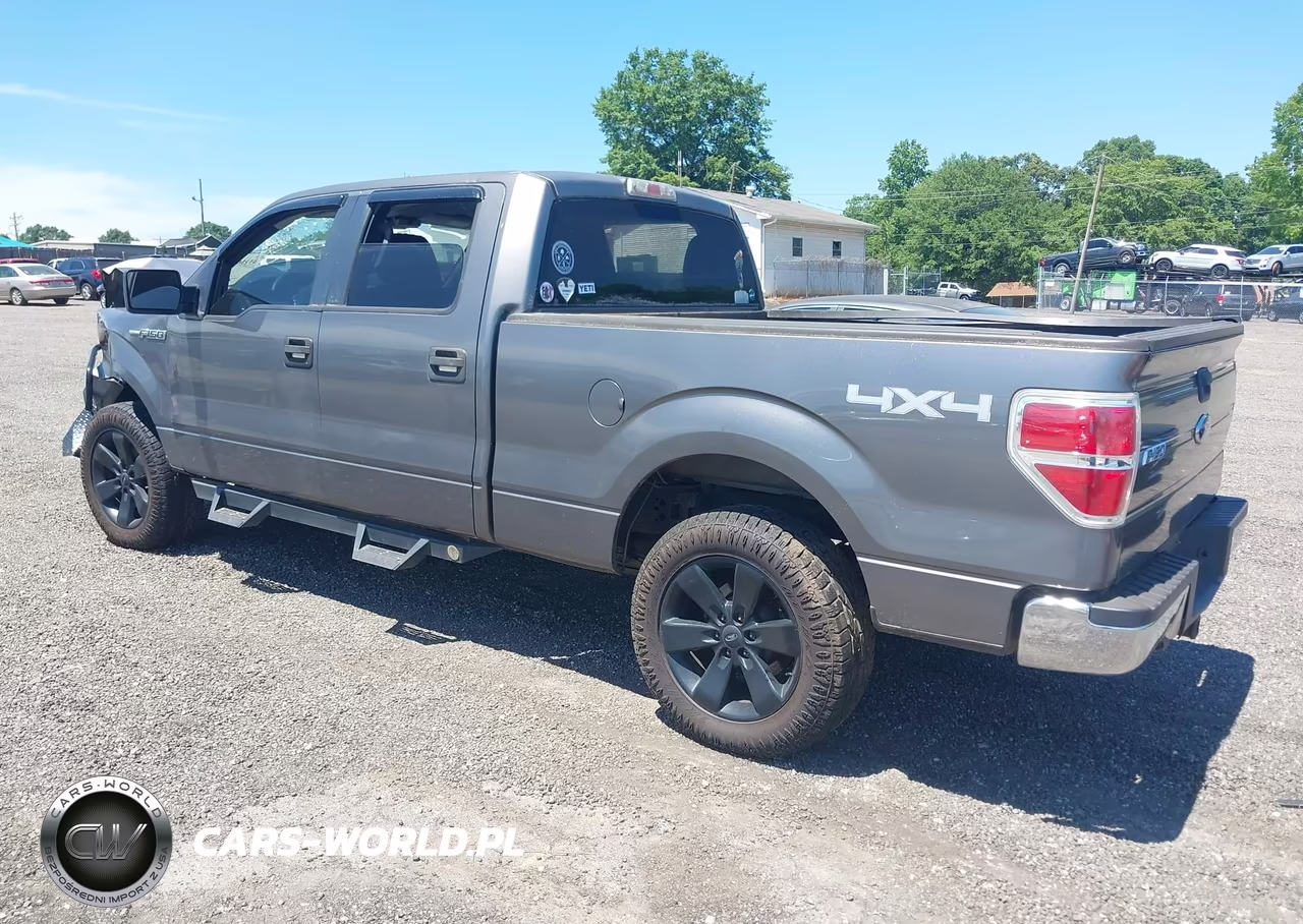 2010 Ford F-150 Xlt VIN:1FTFW1E89AFC57864 - 3