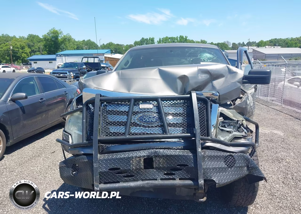 2010 Ford F-150 Xlt VIN:1FTFW1E89AFC57864 - 6