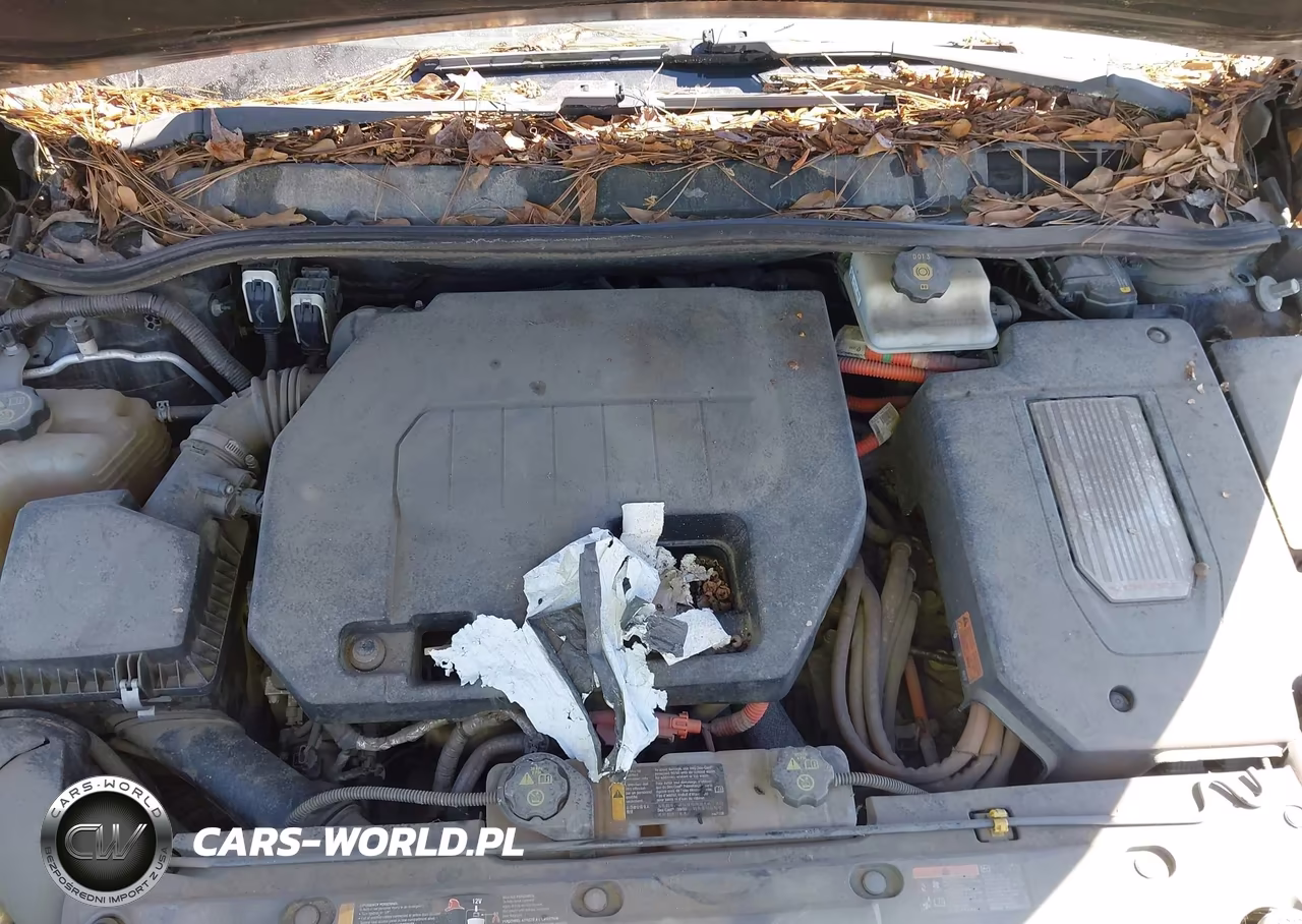 2014 Chevrolet Volt VIN:1G1RD6E41EU156356 - 10