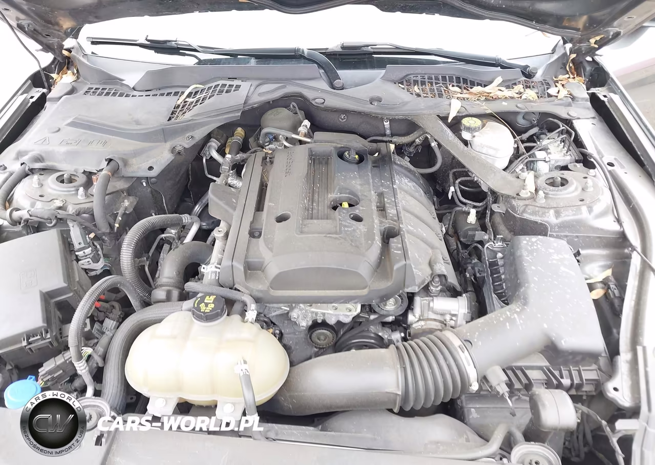 2020 Ford Mustang Ecoboost Premium VIN:1FATP8UH2L5134464 - 10
