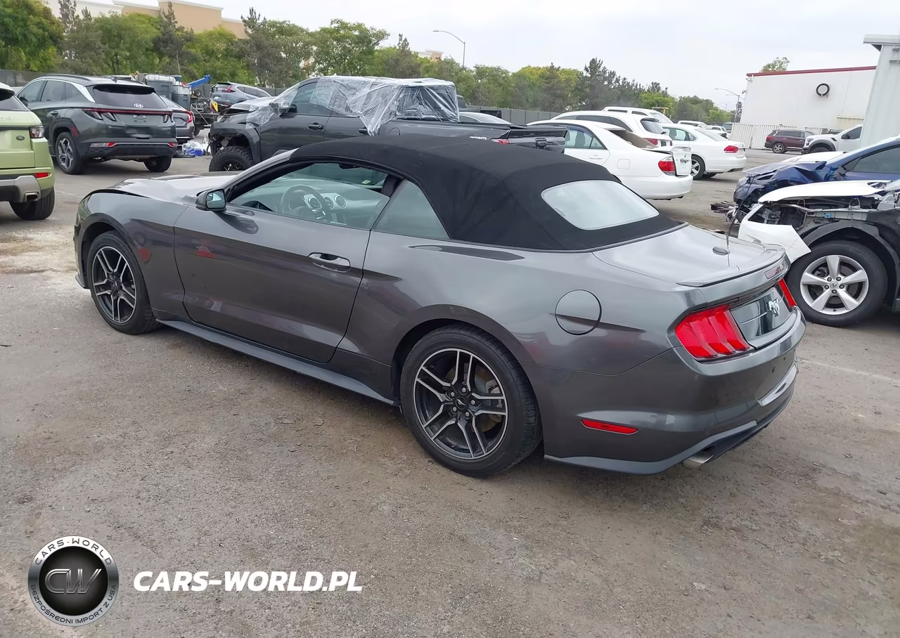 2020 Ford Mustang Ecoboost Premium VIN:1FATP8UH2L5134464 - 3