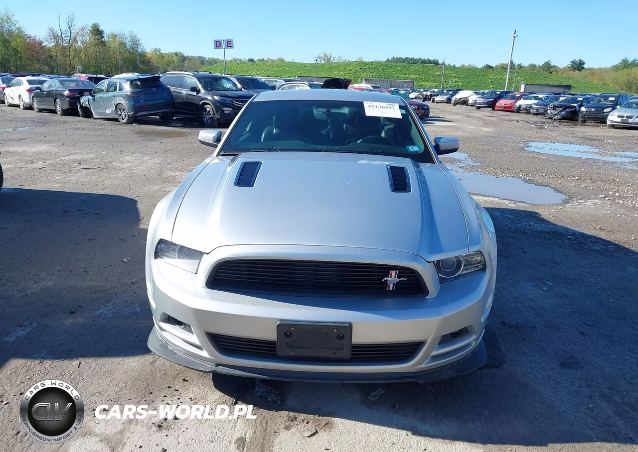 2014 Ford Mustang Gt Premium VIN:1ZVBP8CF8E5265341 - 12