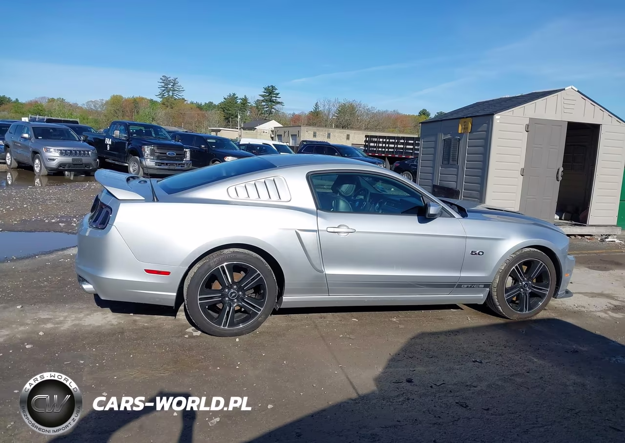 2014 Ford Mustang Gt Premium VIN:1ZVBP8CF8E5265341 - 13