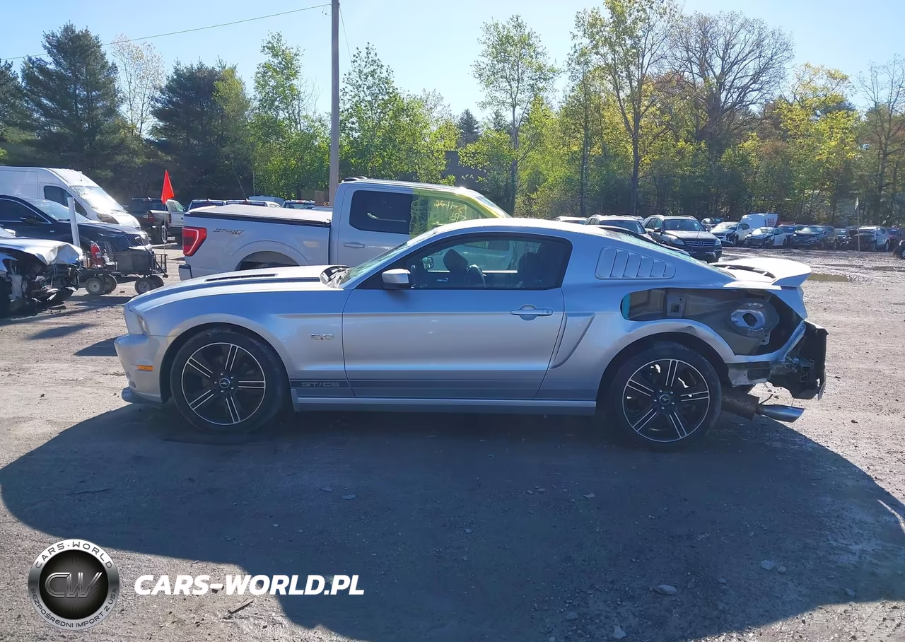 2014 Ford Mustang Gt Premium VIN:1ZVBP8CF8E5265341 - 14
