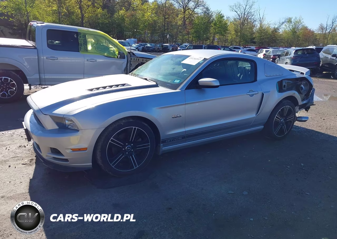 2014 Ford Mustang Gt Premium VIN:1ZVBP8CF8E5265341 - 2