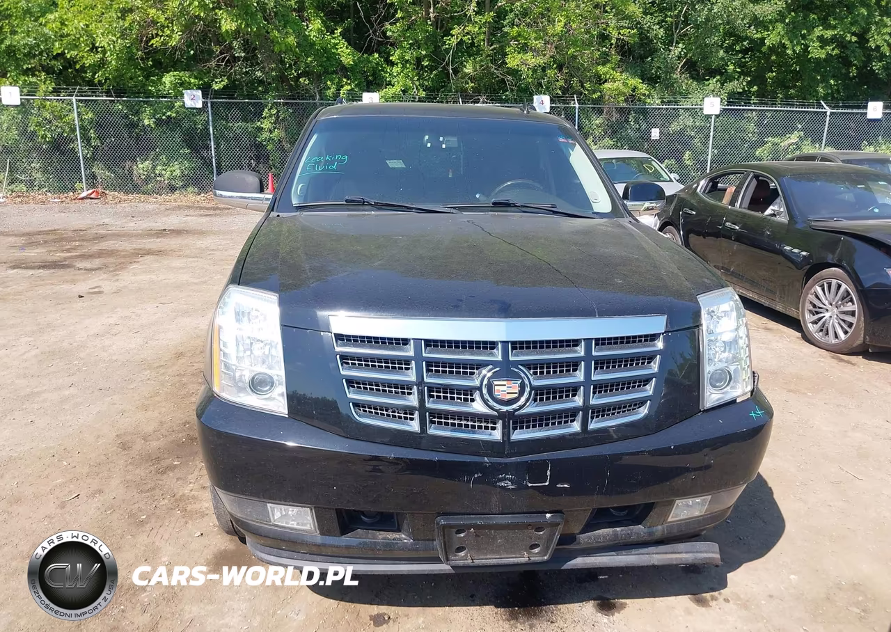 2013 Cadillac Escalade Esv Luxury VIN:1GYS4HEF1DR343050 - 12