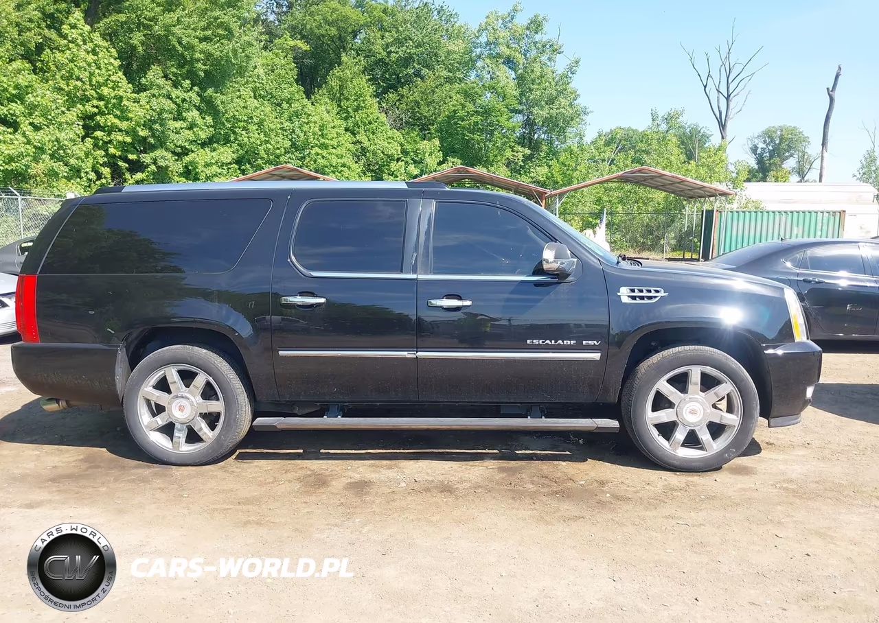 2013 Cadillac Escalade Esv Luxury VIN:1GYS4HEF1DR343050 - 13