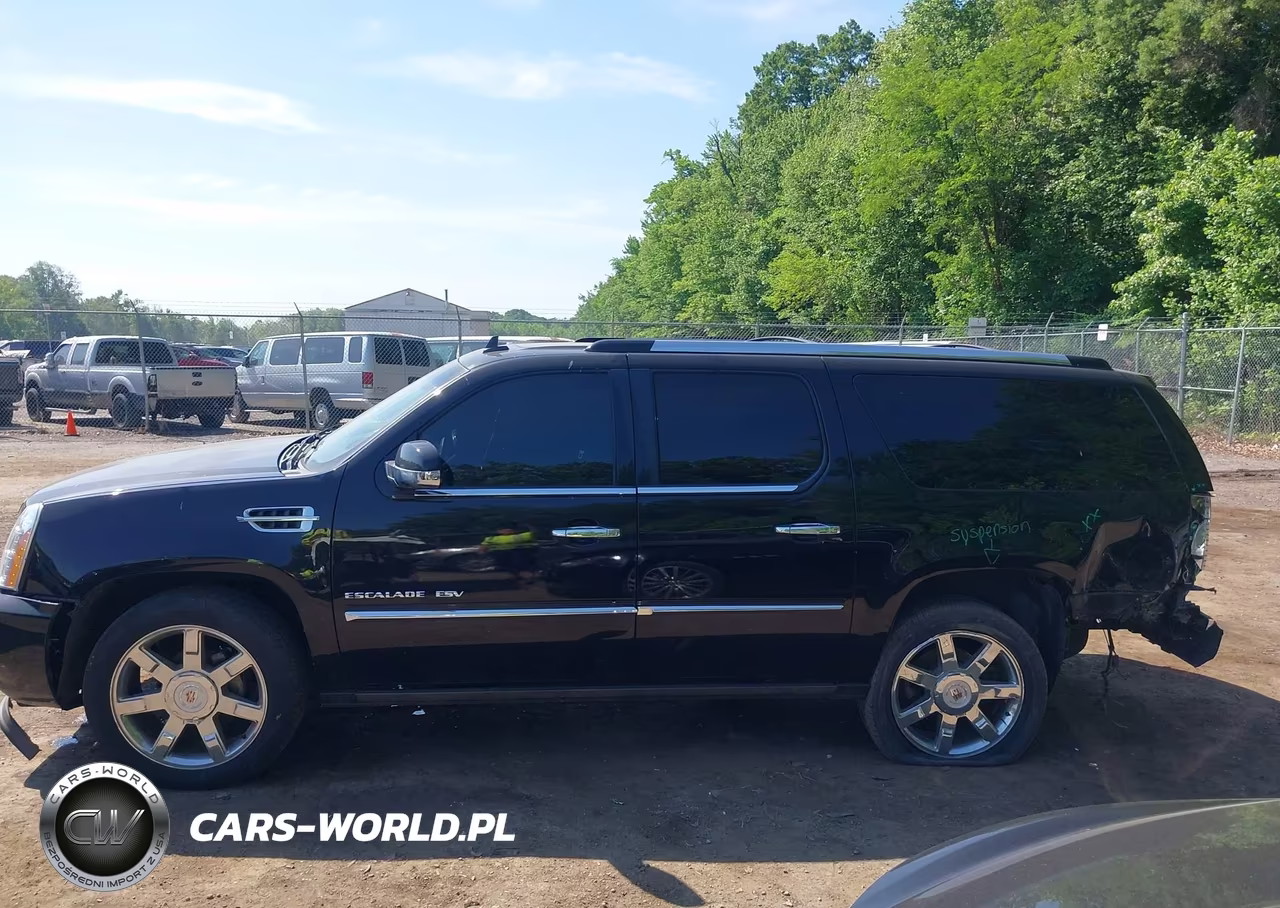 2013 Cadillac Escalade Esv Luxury VIN:1GYS4HEF1DR343050 - 14