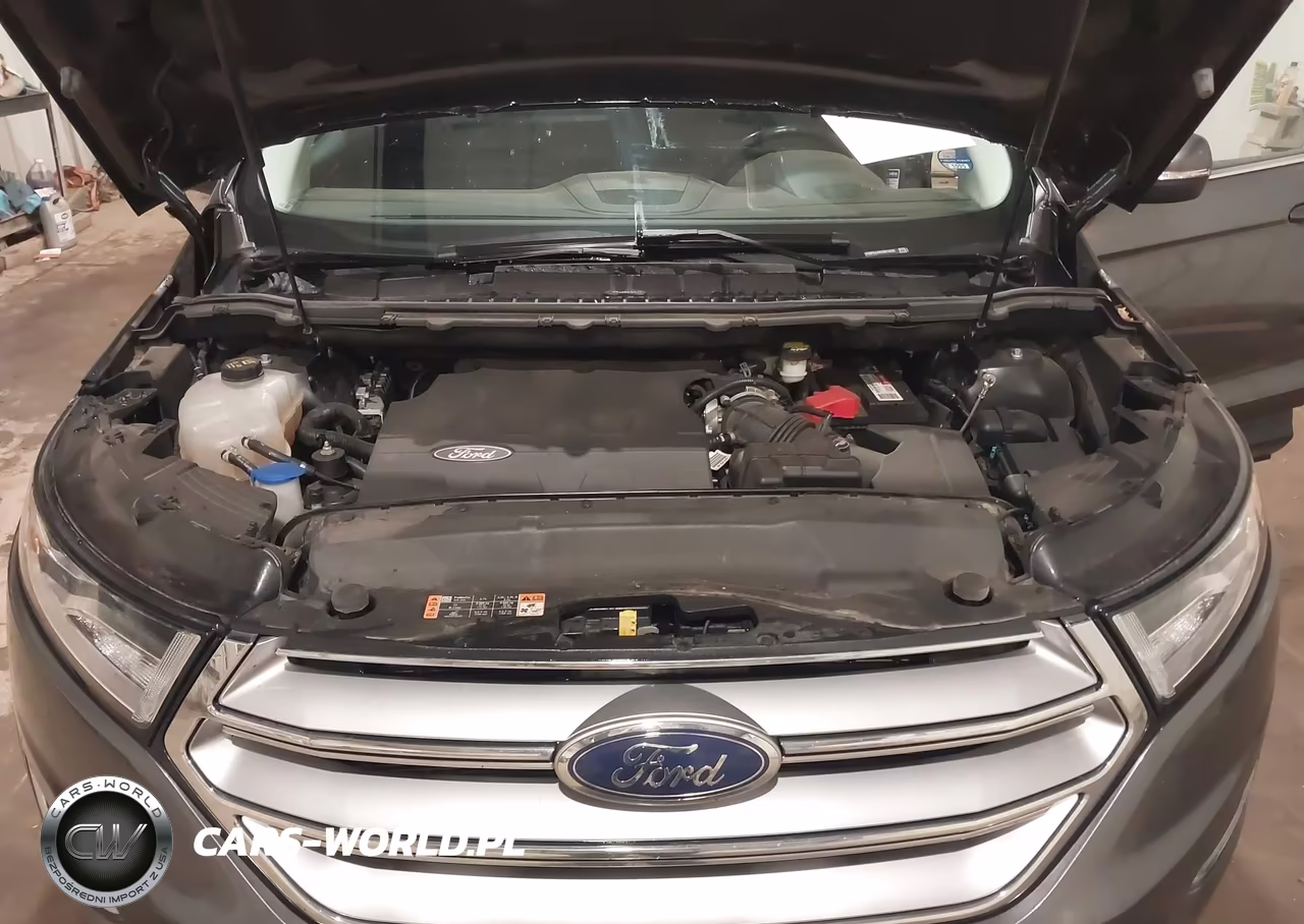 2016 Ford Edge Sel VIN:2FMPK4J82GBB18365 - 10
