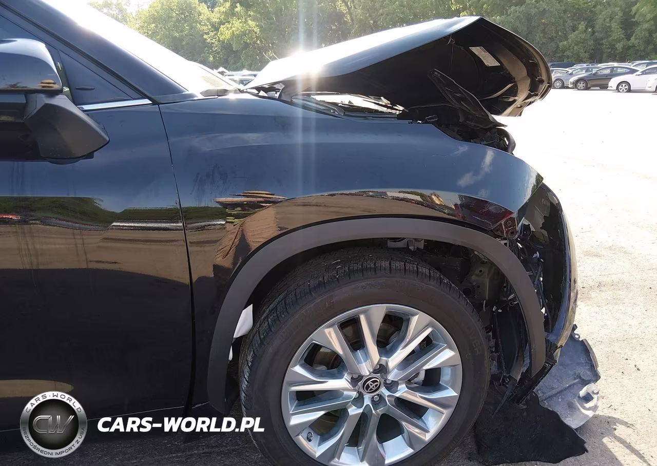 2021 Toyota Highlander Limited VIN:5TDYZRAH7MS062533 - 19