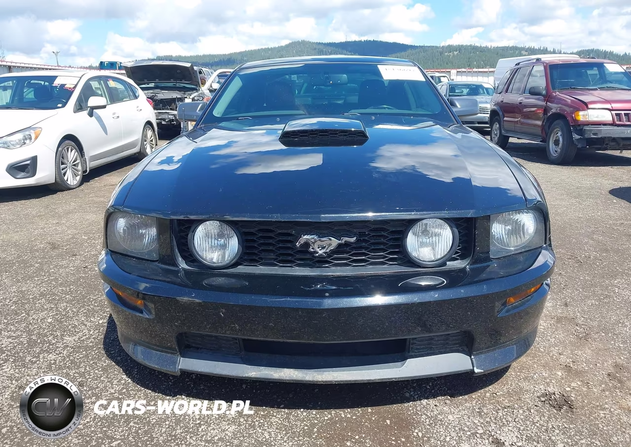 2007 Ford Mustang Gt Deluxe-Gt Premium VIN:1ZVFT82H975255730 - 12
