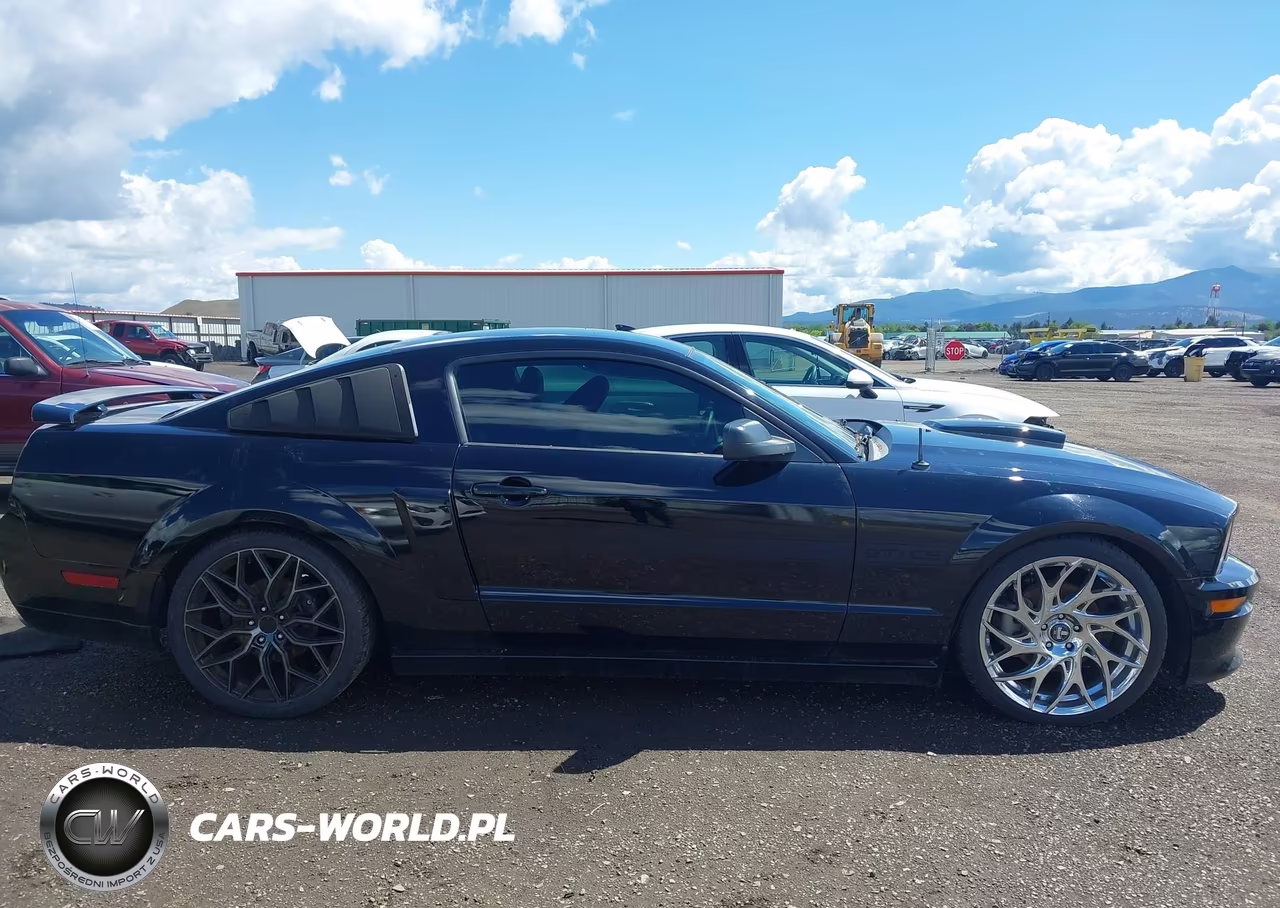 2007 Ford Mustang Gt Deluxe-Gt Premium VIN:1ZVFT82H975255730 - 13