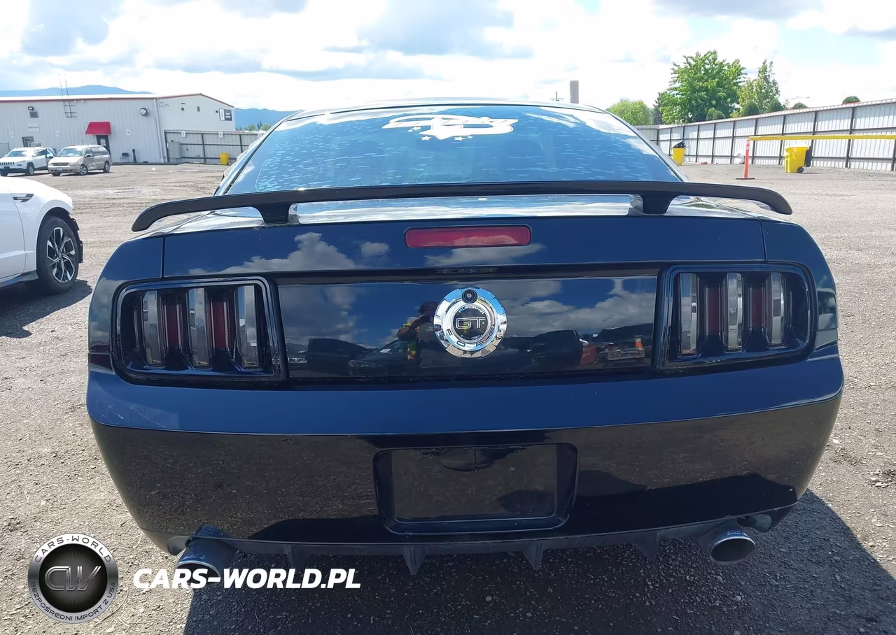 2007 Ford Mustang Gt Deluxe-Gt Premium VIN:1ZVFT82H975255730 - 16