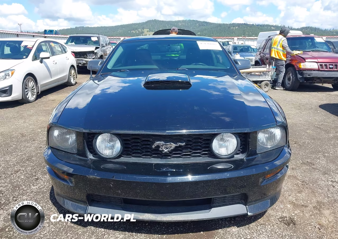 2007 Ford Mustang Gt Deluxe-Gt Premium VIN:1ZVFT82H975255730 - 6