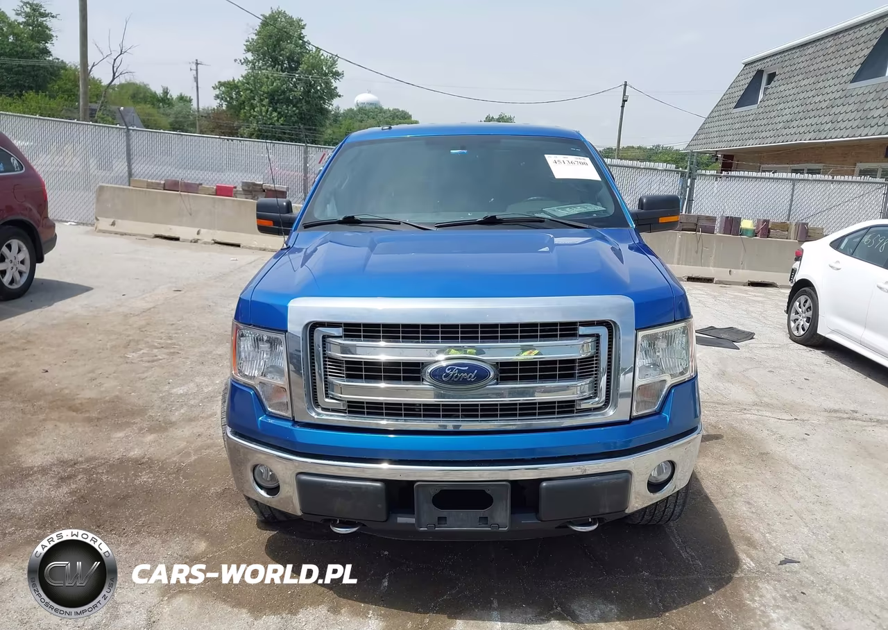 2014 Ford F-150 Xlt VIN:1FTFX1EF4EFA42538 - 12