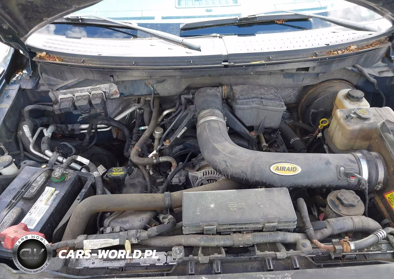2009 Ford F-150 Fx4-Lariat-Xl-Xlt VIN:1FTPX14V49FB12316 - 10