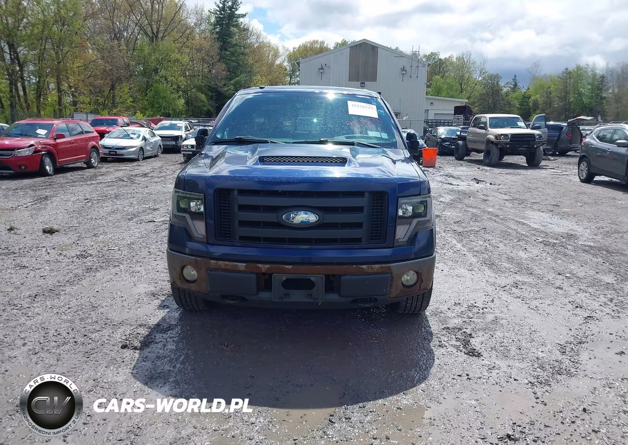 2009 Ford F-150 Fx4-Lariat-Xl-Xlt VIN:1FTPX14V49FB12316 - 12