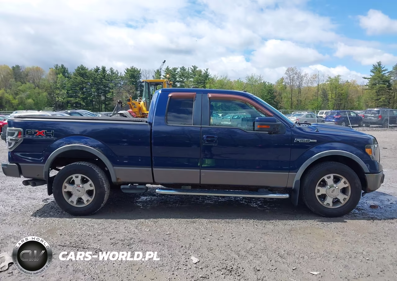 2009 Ford F-150 Fx4-Lariat-Xl-Xlt VIN:1FTPX14V49FB12316 - 13