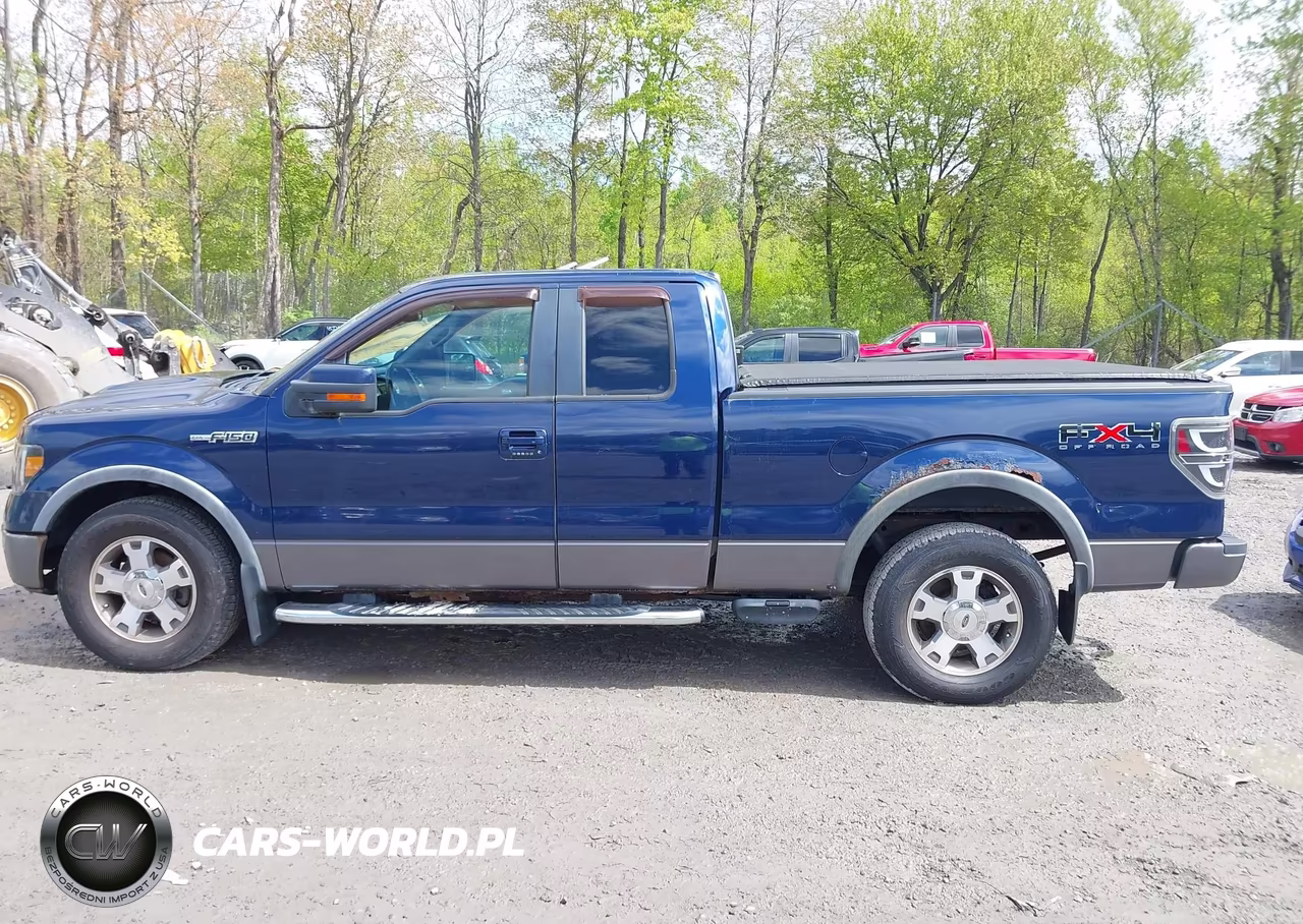 2009 Ford F-150 Fx4-Lariat-Xl-Xlt VIN:1FTPX14V49FB12316 - 14