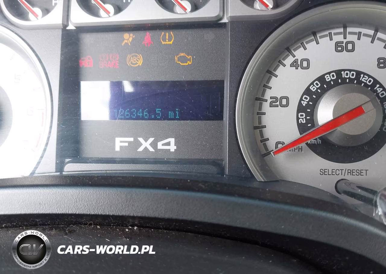 2009 Ford F-150 Fx4-Lariat-Xl-Xlt VIN:1FTPX14V49FB12316 - 15