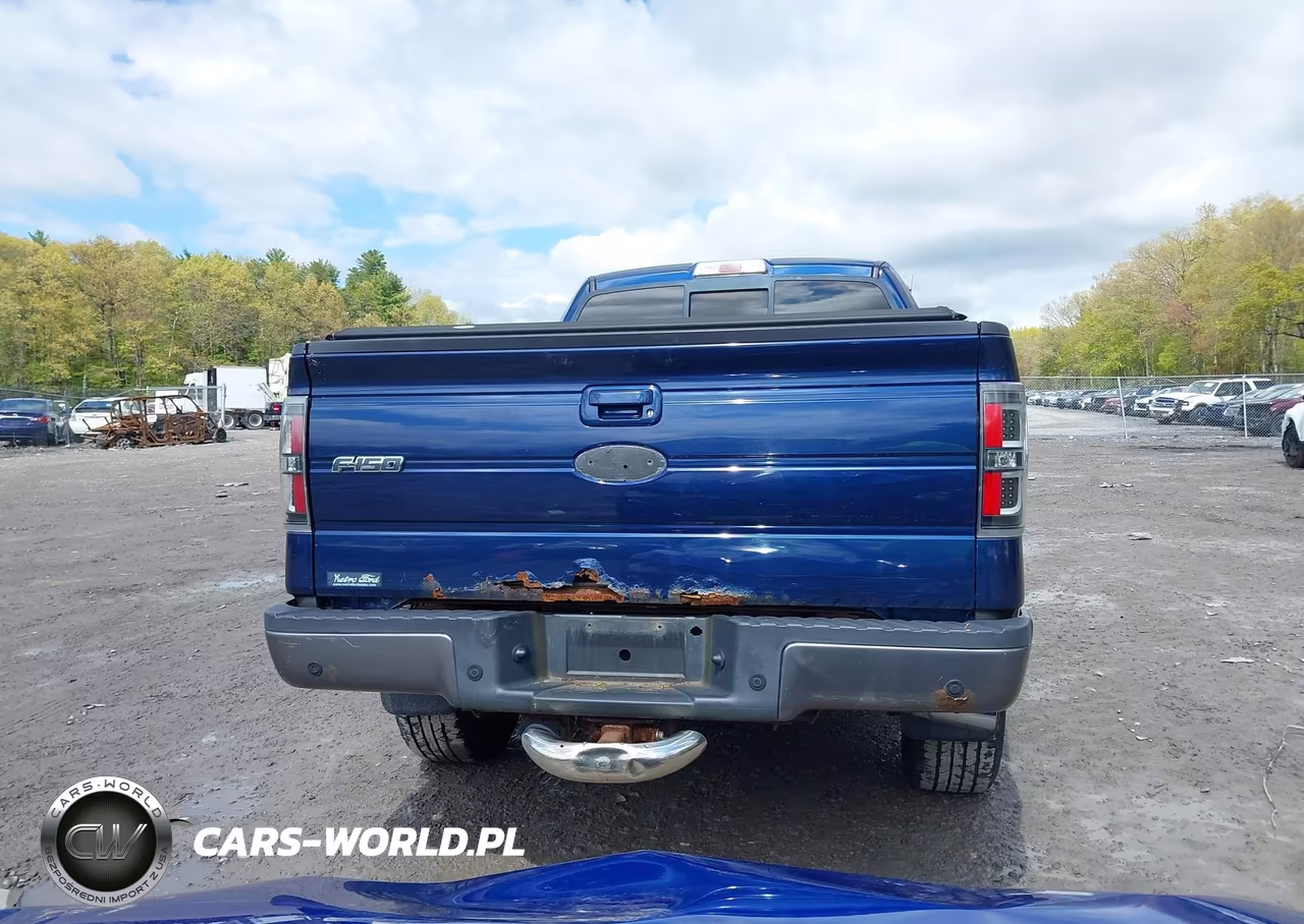 2009 Ford F-150 Fx4-Lariat-Xl-Xlt VIN:1FTPX14V49FB12316 - 16