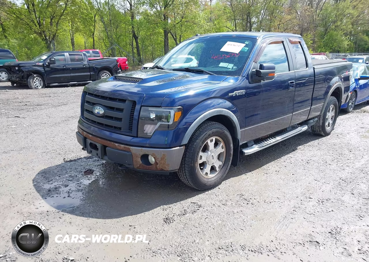 2009 Ford F-150 Fx4-Lariat-Xl-Xlt VIN:1FTPX14V49FB12316 - 2