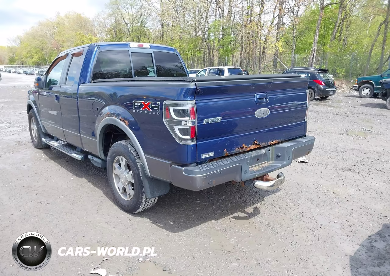 2009 Ford F-150 Fx4-Lariat-Xl-Xlt VIN:1FTPX14V49FB12316 - 3
