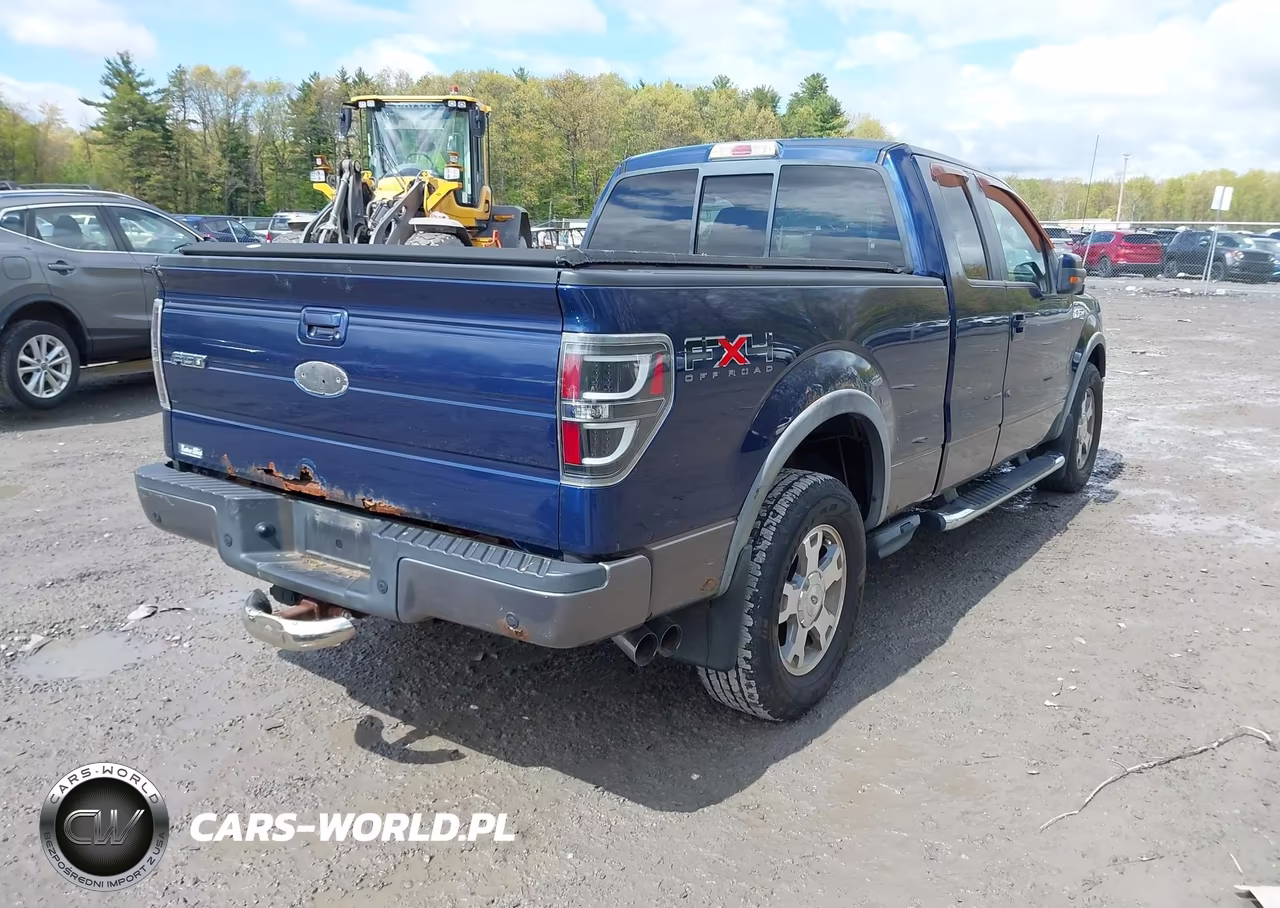 2009 Ford F-150 Fx4-Lariat-Xl-Xlt VIN:1FTPX14V49FB12316 - 4